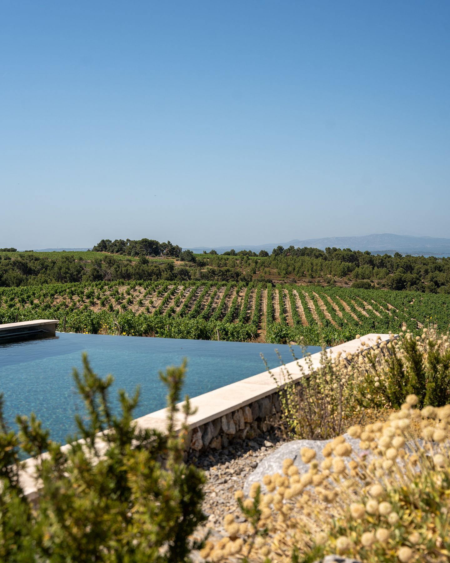 Piscine privée vue sur les vignobles