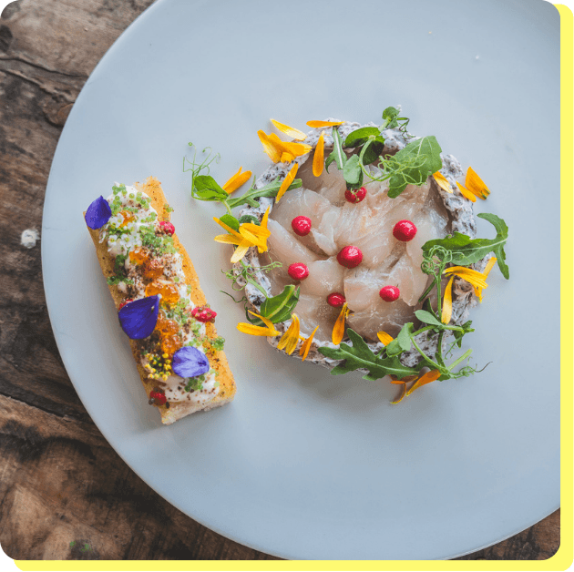 Organisez votre séminaire d’entreprise avec REJOLT