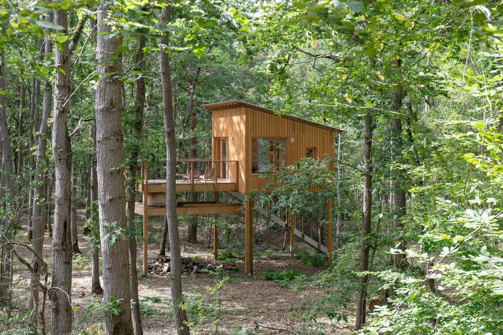 Youza Ecolodge - Séminaire d'entreprise en forêt