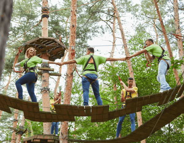 Comment organiser un team building d'entreprise : le guide complet