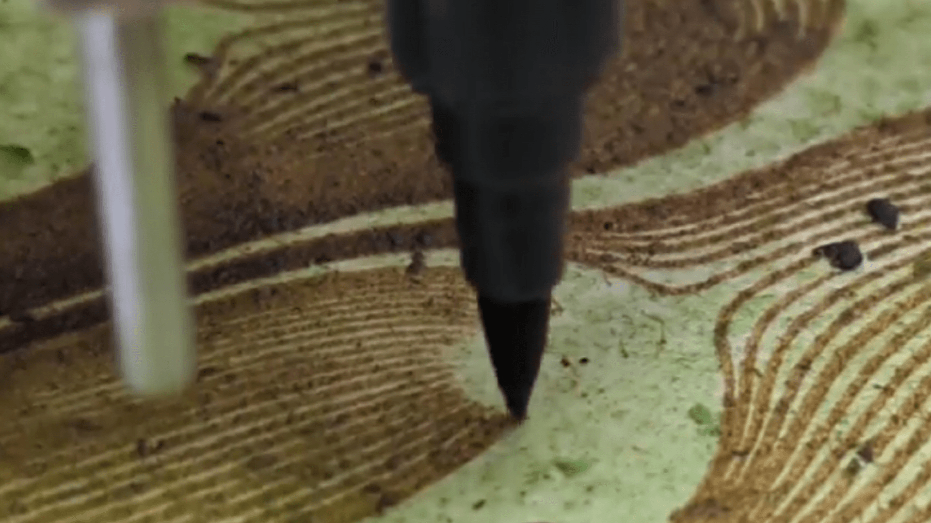 Playful Ecology and high tech well-being