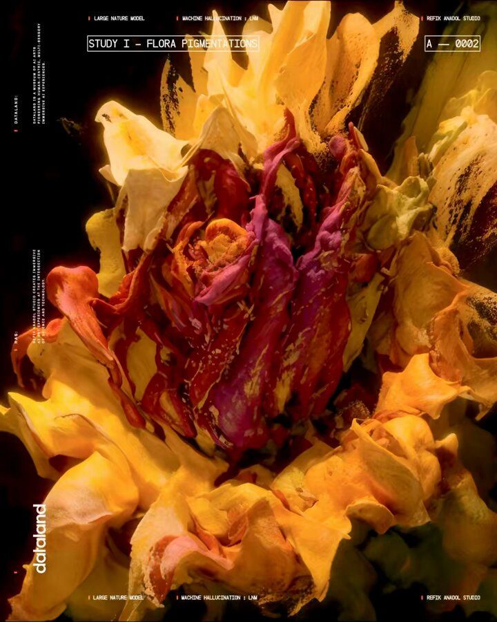 Enhanced sensoriality, Echoes of the earth: living archive, Refik Anadol, Serpentine North Gallery, UK, 2024