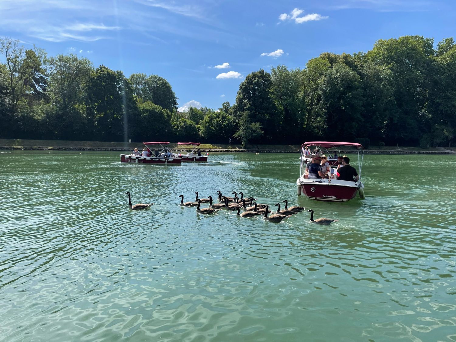 Balade en bateau électrique le long de l'Oise
