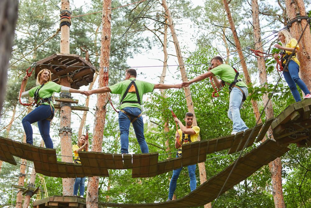 Animation de team building pour entreprise en pleine nature